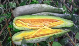 各类网红爆料吃瓜站,吃瓜站背后的热门事件大盘点